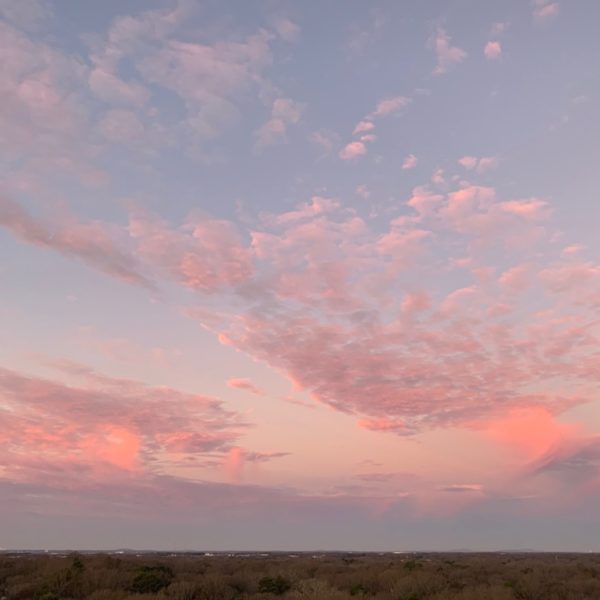 Pink skylight